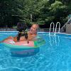 Banff Benedict in the pool in Massachusetts