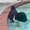 Lucy Henderson in her pool - Louisana