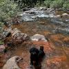 Rio Simpson in Colorado on the Rio river