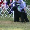 Another shot of Alex at the National 2009.