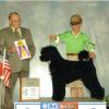 Alex winning Best of Breed at Holyoke KC - photo by Fritz Clark