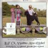 Tilley - Alex daughter - pictured again winning the 2009 PWD National Specialty