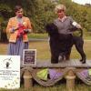 Another Alex daughter - and littermate to Tilley.  She is Madrina Trianna of Robel JWC - Casi.  Casi was 2nd place in Bred By Exhibitor Bitches at the 2009 PWD National.