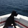 Max Sherwood on the boat.  Enjoying a summer day.
