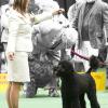 Gus and Rindi at Westminster