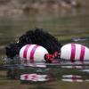 Gus retrieving his bouy line.